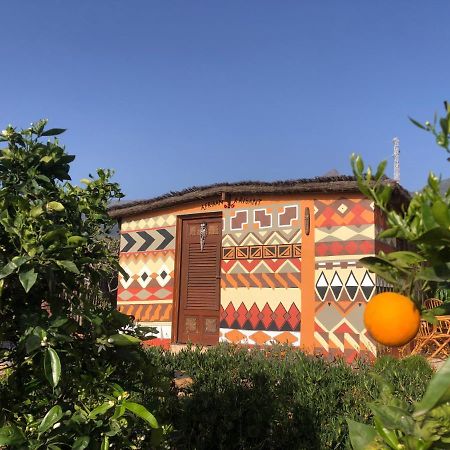 Afrikan Krisant Tenerife, Casa Rural Ecologica Arafo Kültér fotó