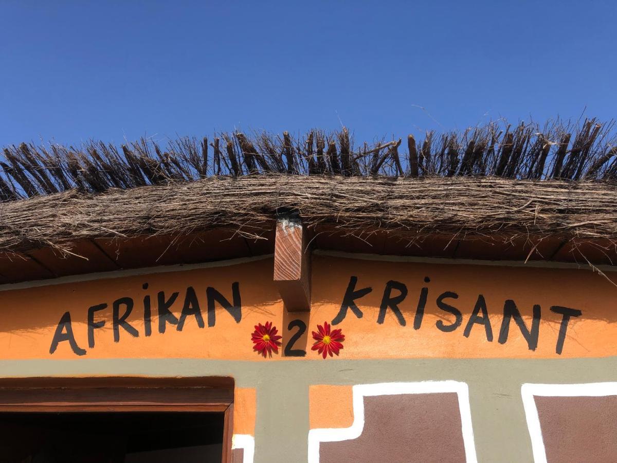 Afrikan Krisant Tenerife, Casa Rural Ecologica Arafo Kültér fotó