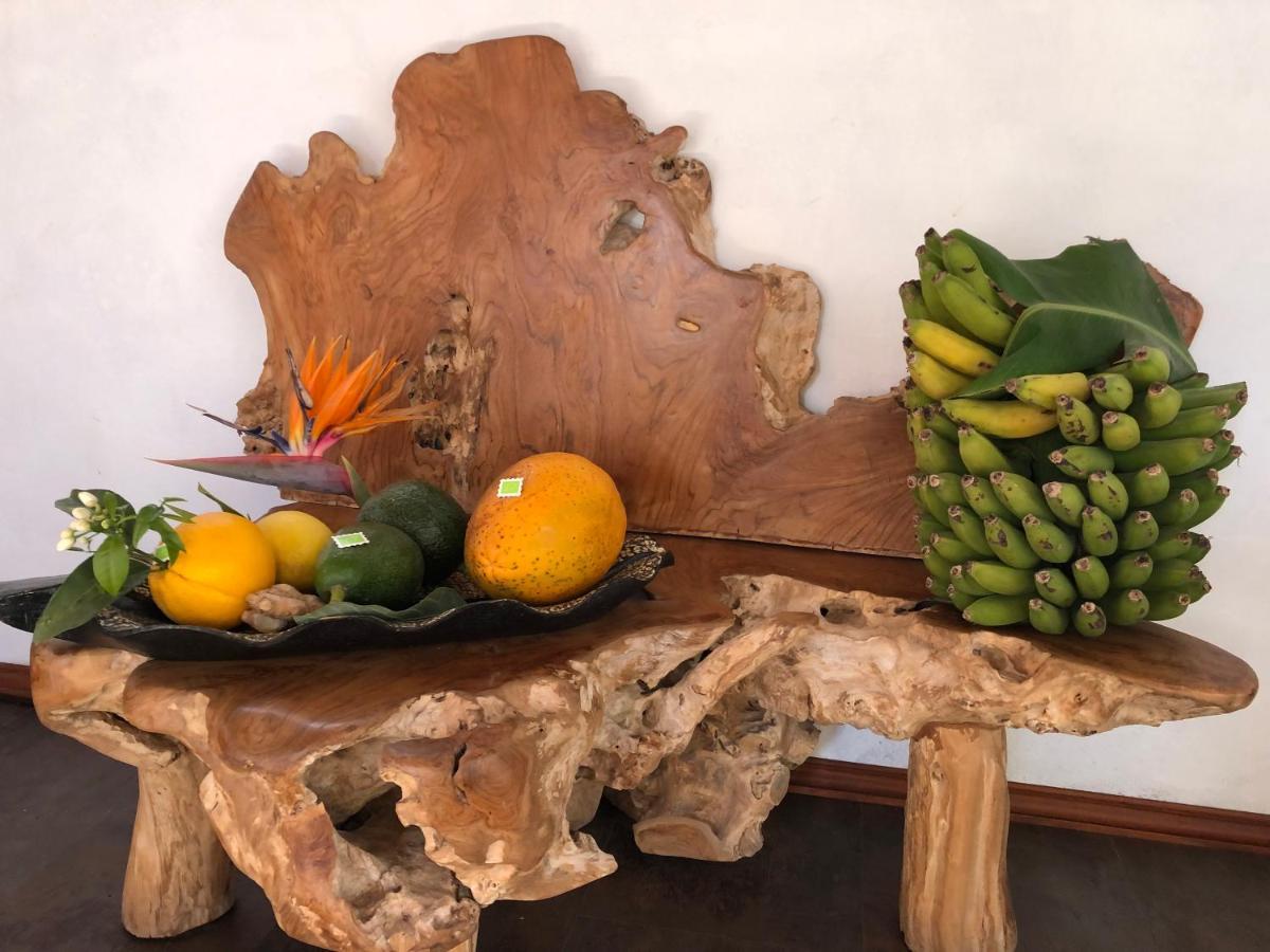 Afrikan Krisant Tenerife, Casa Rural Ecologica Arafo Kültér fotó