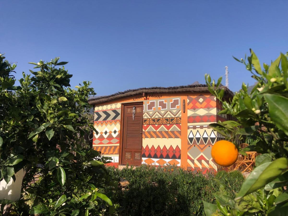 Afrikan Krisant Tenerife, Casa Rural Ecologica Arafo Kültér fotó