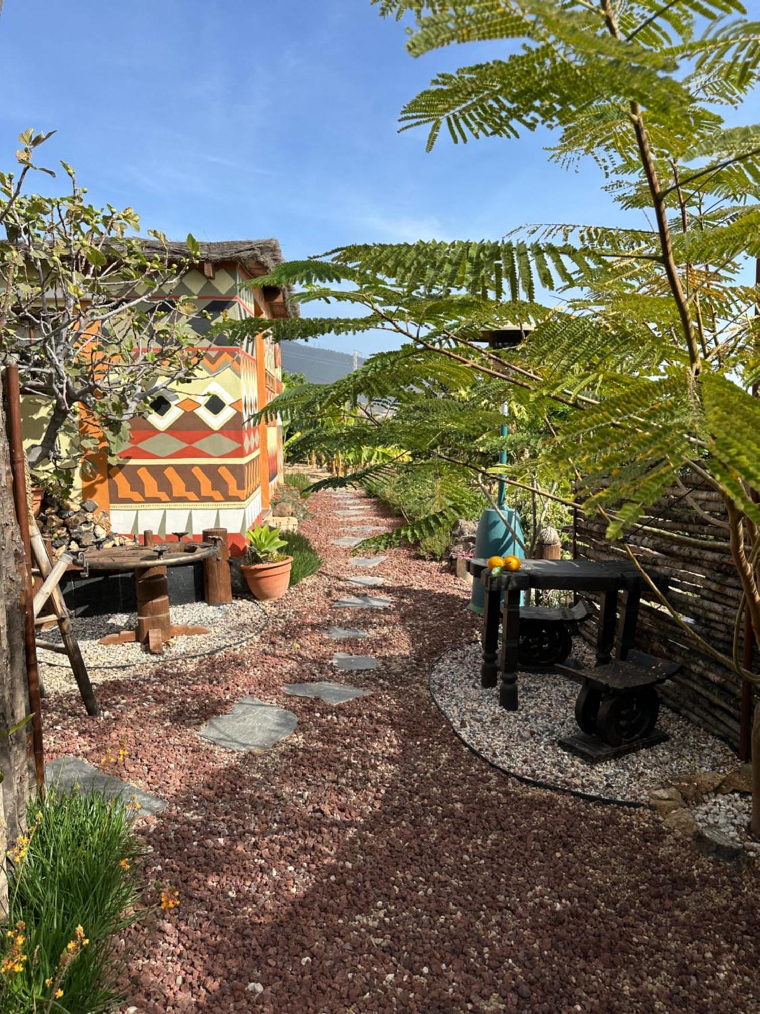 Afrikan Krisant Tenerife, Casa Rural Ecologica Arafo Kültér fotó