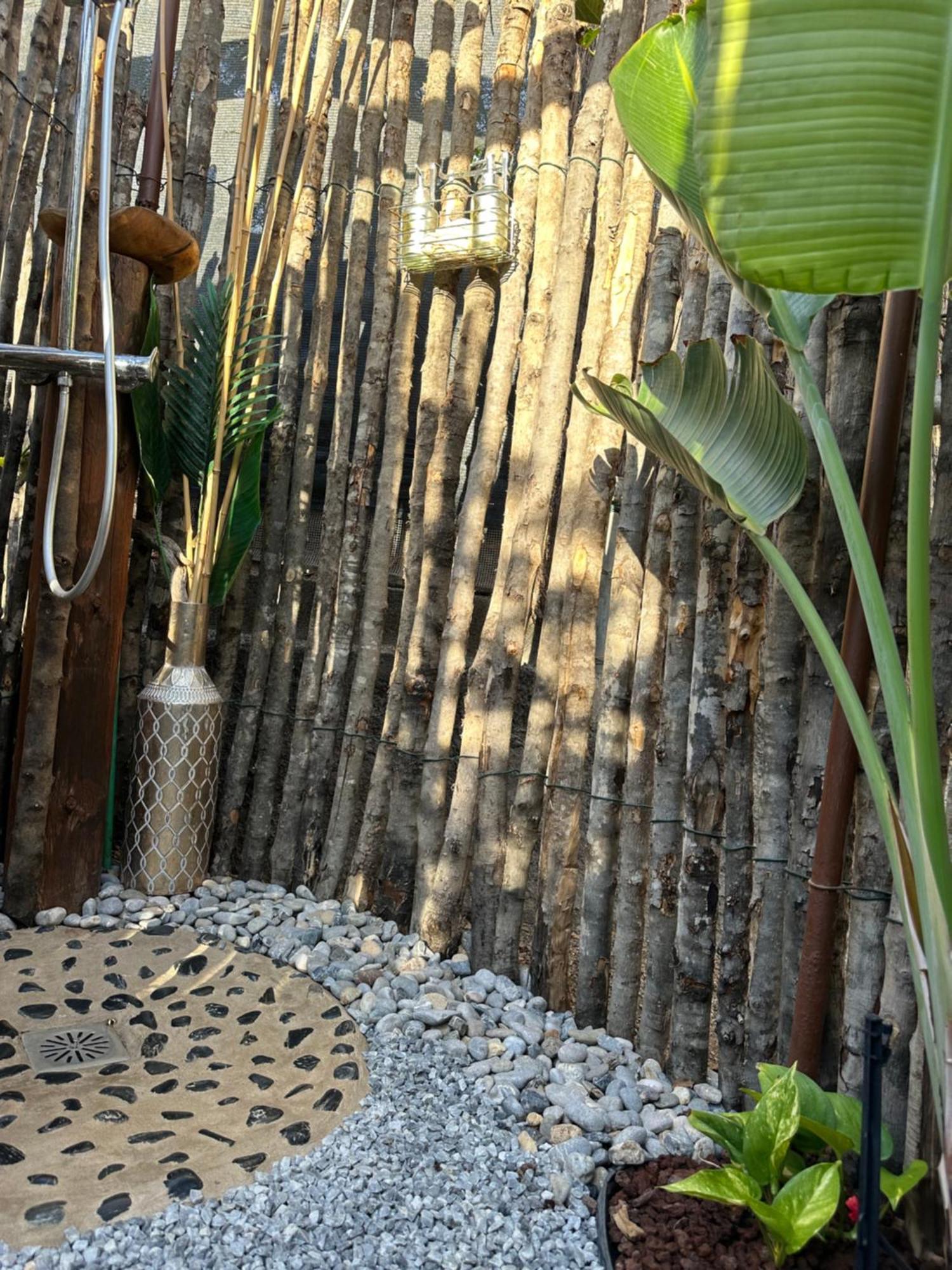 Afrikan Krisant Tenerife, Casa Rural Ecologica Arafo Kültér fotó