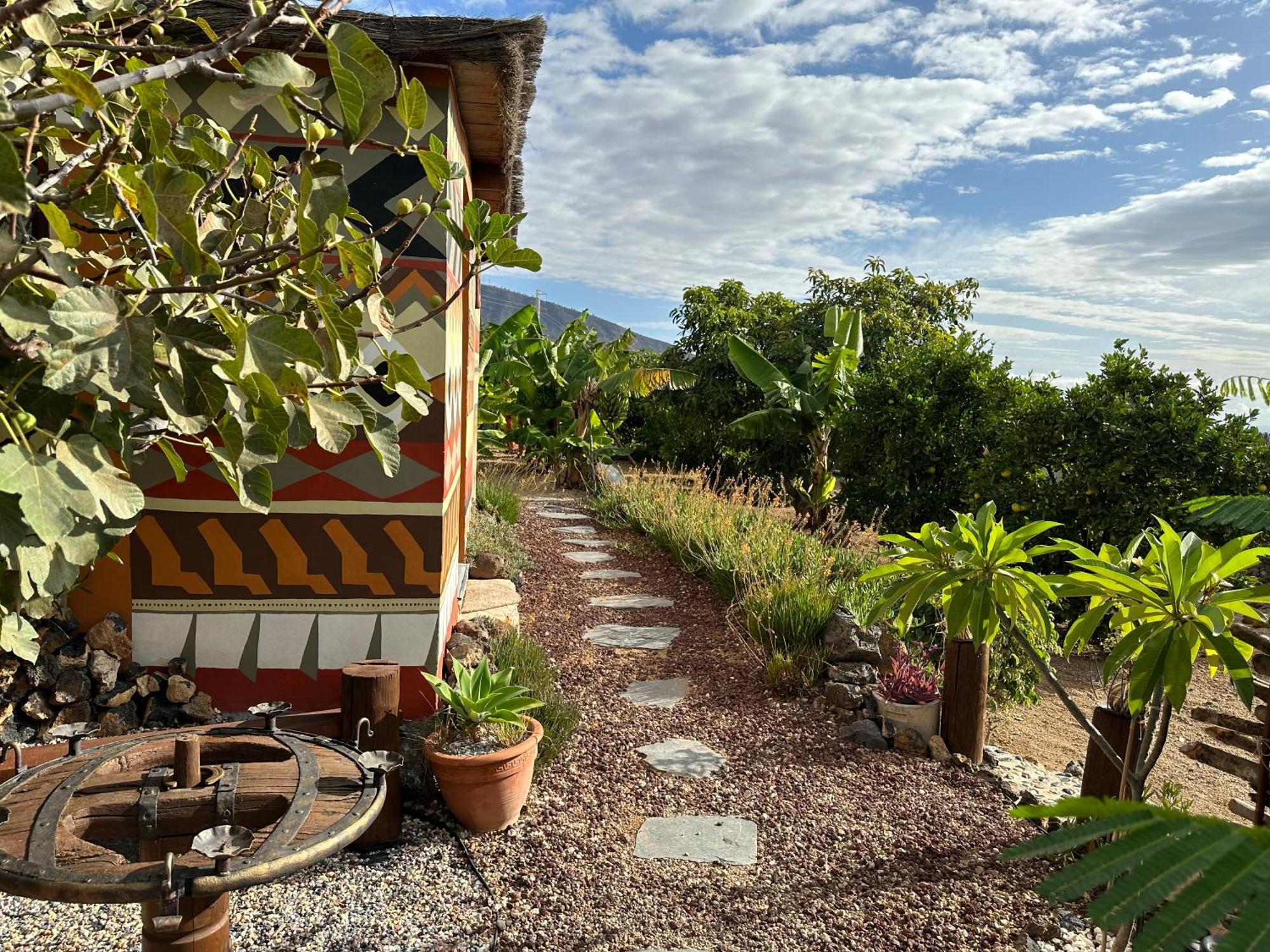 Afrikan Krisant Tenerife, Casa Rural Ecologica Arafo Kültér fotó